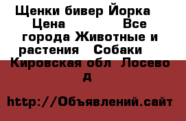 Щенки бивер Йорка  › Цена ­ 30 000 - Все города Животные и растения » Собаки   . Кировская обл.,Лосево д.